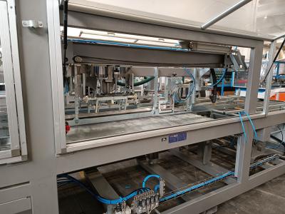 Gereviseerde TECO FW01 (T3) Tray opzetmachine en stapelaar.6